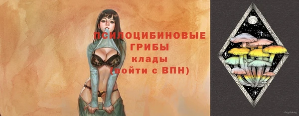 стафф Михайловск