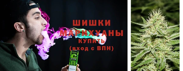 ГАЛЛЮЦИНОГЕННЫЕ ГРИБЫ Ельня