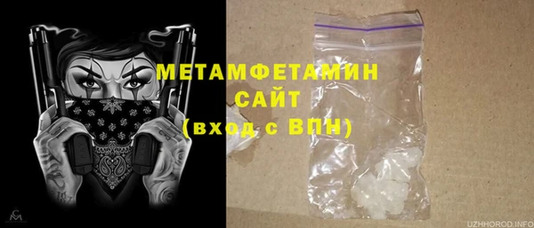 ГАЛЛЮЦИНОГЕННЫЕ ГРИБЫ Ельня