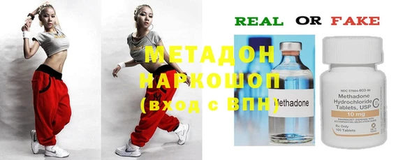 ГАЛЛЮЦИНОГЕННЫЕ ГРИБЫ Ельня