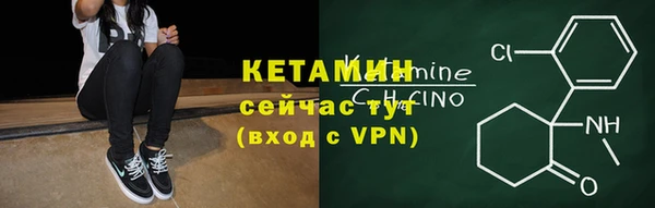 ГАЛЛЮЦИНОГЕННЫЕ ГРИБЫ Ельня