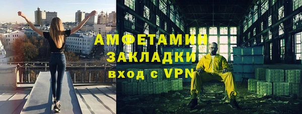ГАЛЛЮЦИНОГЕННЫЕ ГРИБЫ Ельня