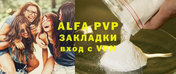 ГАЛЛЮЦИНОГЕННЫЕ ГРИБЫ Ельня