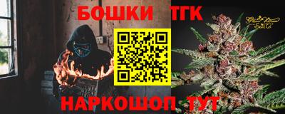 крисы Камышлов