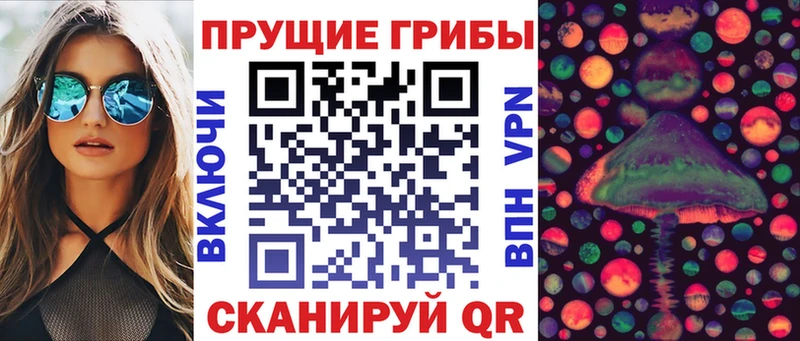магазин продажи   omg сайт  Галлюциногенные грибы GOLDEN TEACHER  Северобайкальск 
