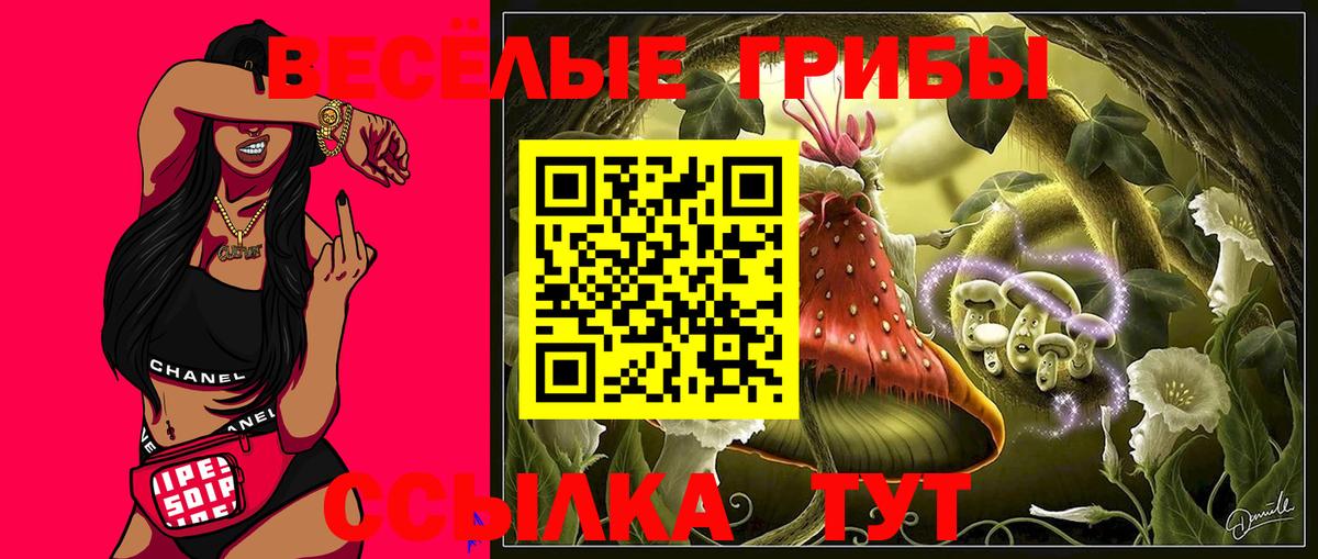 Северобайкальск  Галлюциногенные грибы мицелий  Вход с VPN  Псилоцибиновые грибы мицелий 