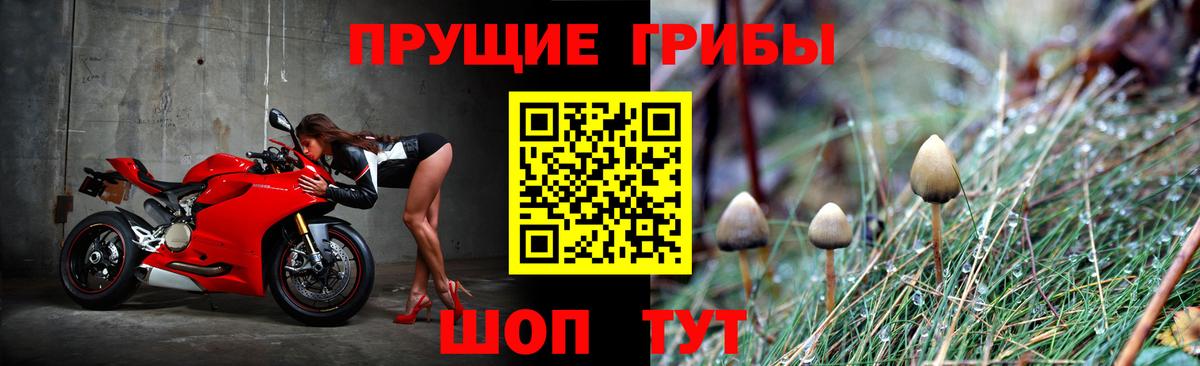 дарнет шоп  Северобайкальск  Псилоцибиновые грибы ЛСД  Галлюциногенные грибы мухоморы 